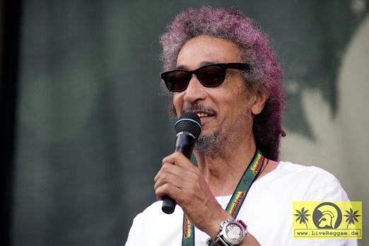 Andrew Murrphy (D) 28. Summer Jam Festival - Fuehlinger See, Koeln - Moderator Red Stage 06. Juli 2013 (2).JPG